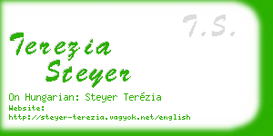 terezia steyer business card